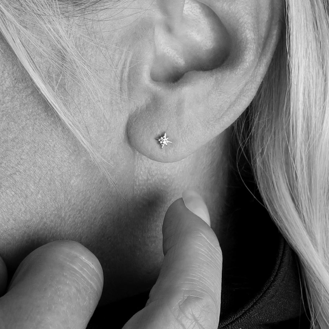 Celeste North Star CZ rhodium coated petite stud ear rings