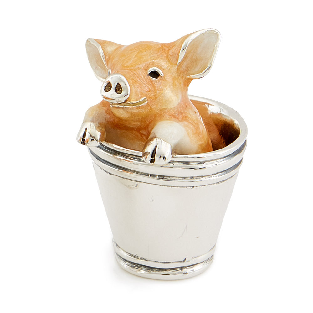 Pig in bucket