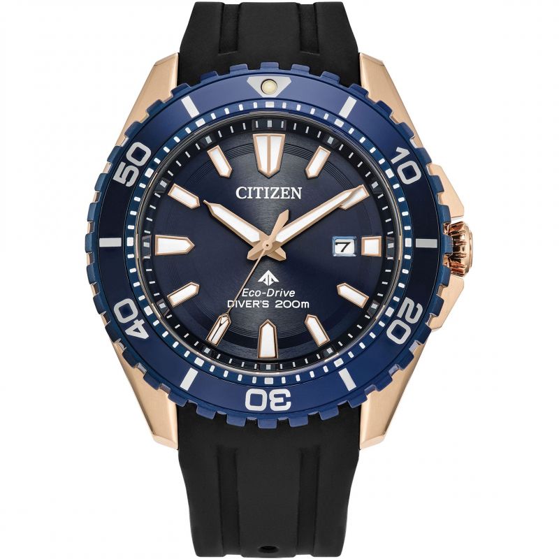 Promaster Diver