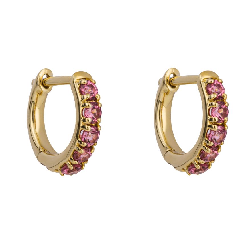 9ct yellow gold Rhodolite garnet hoops