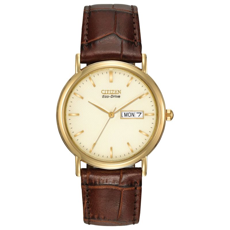 Eco-Drive Men's strap