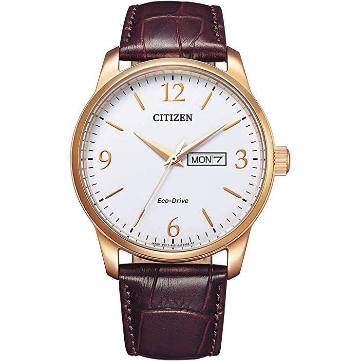 Eco-Drive Men's Strap