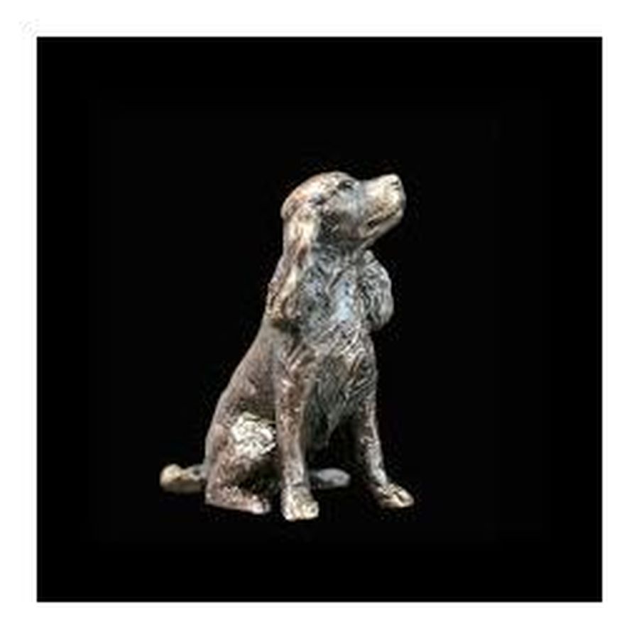 Spaniel