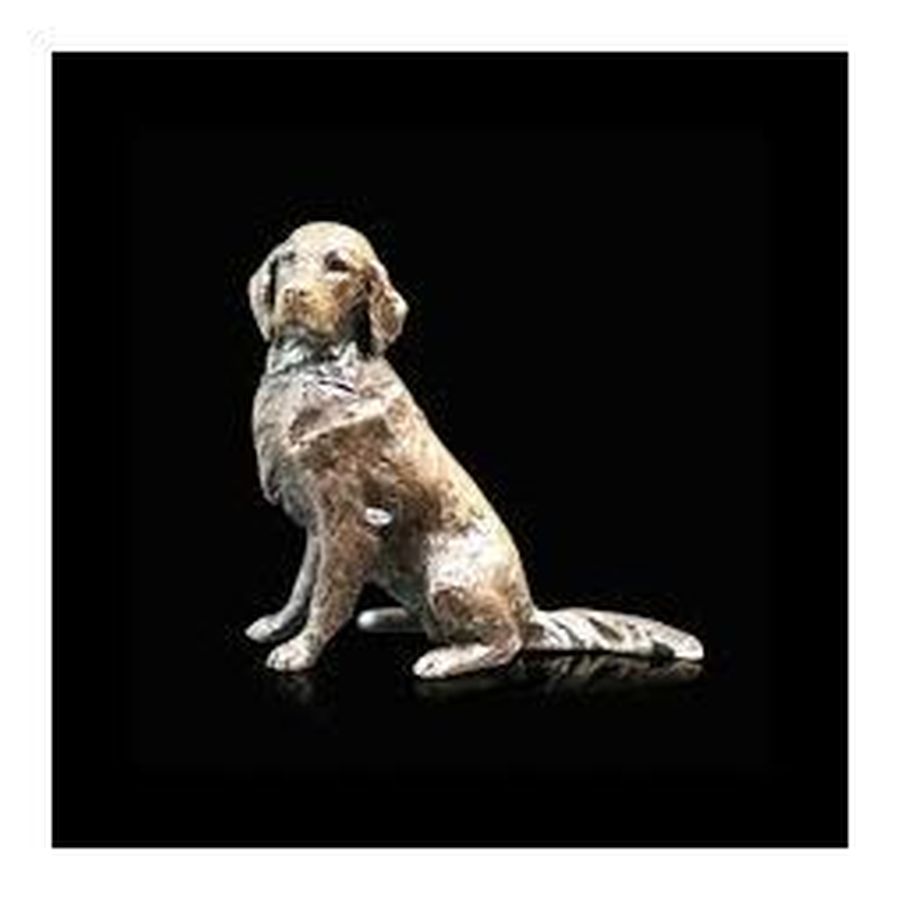 Retriever Sitting