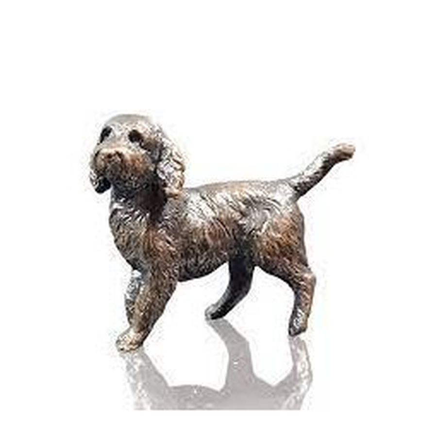 Bronze Small Cockerpoo - Standing