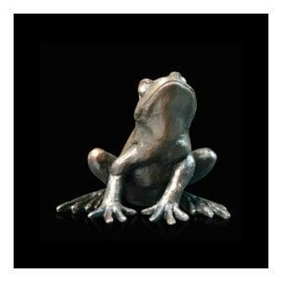 Small Frog