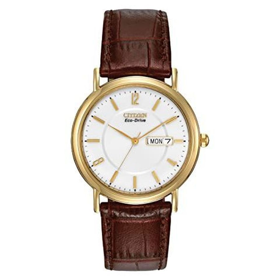 Citizen-Eco-Drive Men's strap watch-Dipples Jewellers