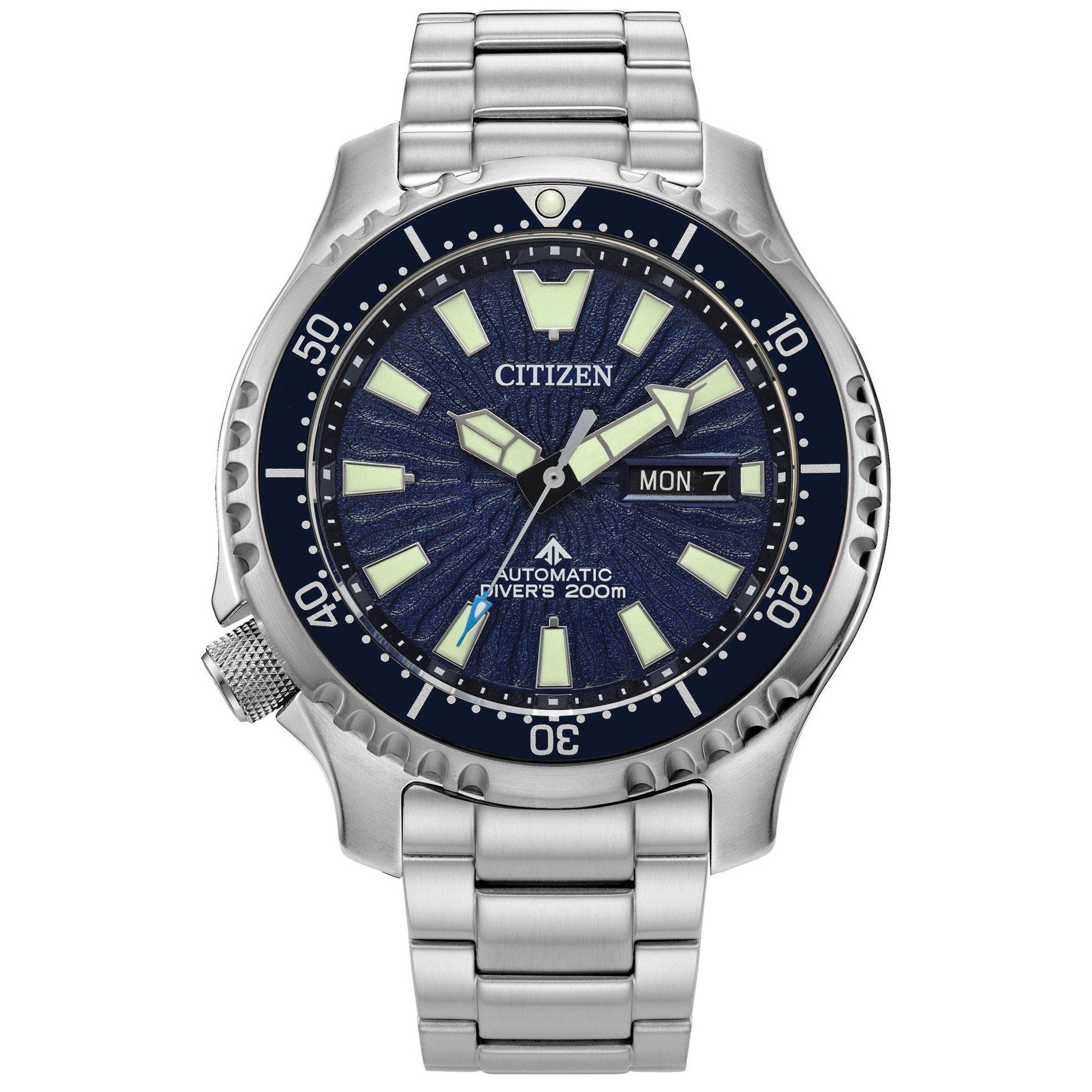 Citizen-Promaster Diver Automatic-Dipples Jewellers