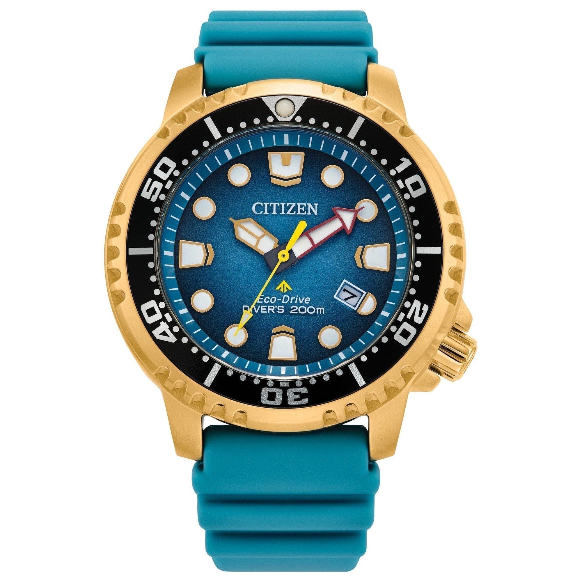 Citizen-Promaster Diver-Dipples Jewellers