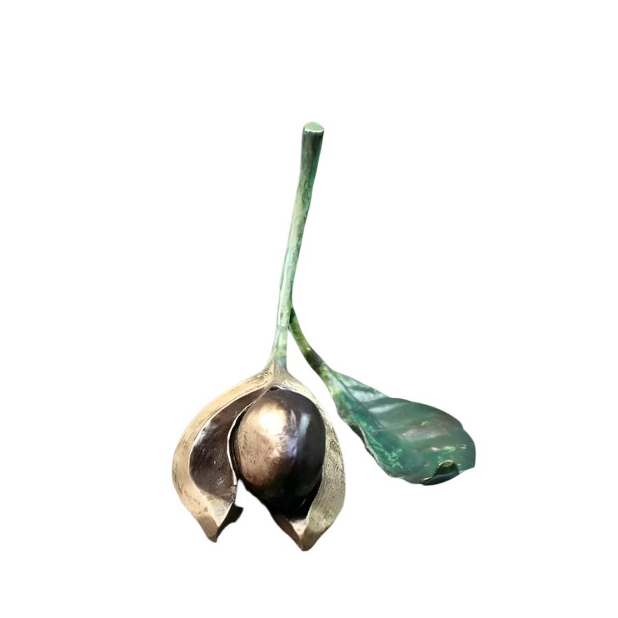 Richard Cooper-Single Conker & Leaf-Dipples Jewellers