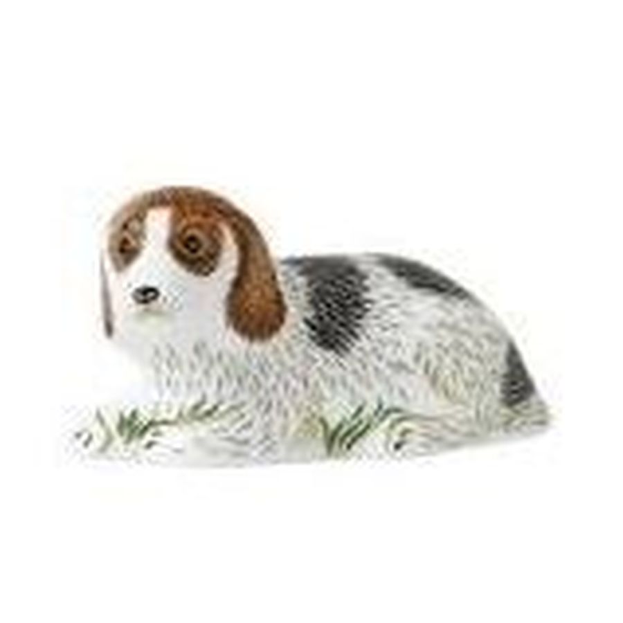 Royal Crown Derby-Royal Crown Derby Puppy Belle-Dipples Jewellers