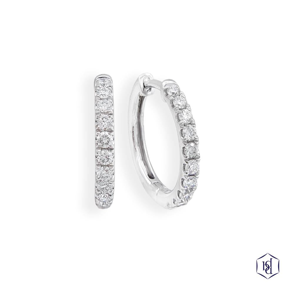 Platinum Skye Hoop Earring Range.