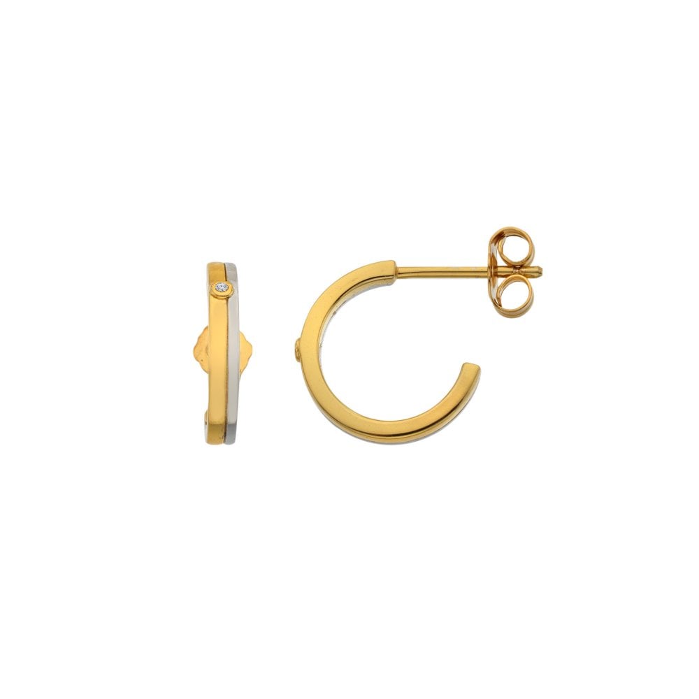 Parellel Two Tone Earrings