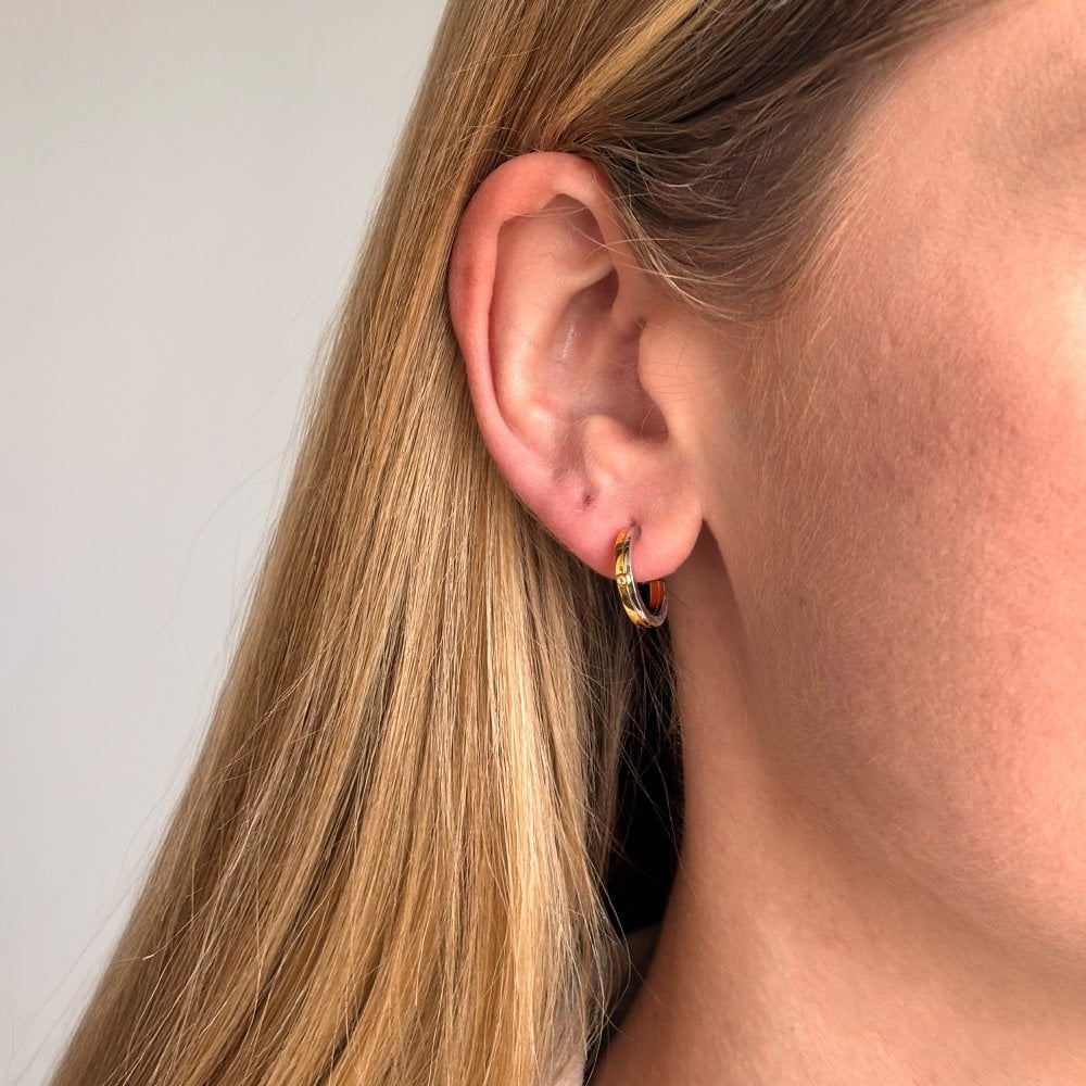 Parellel Two Tone Earrings