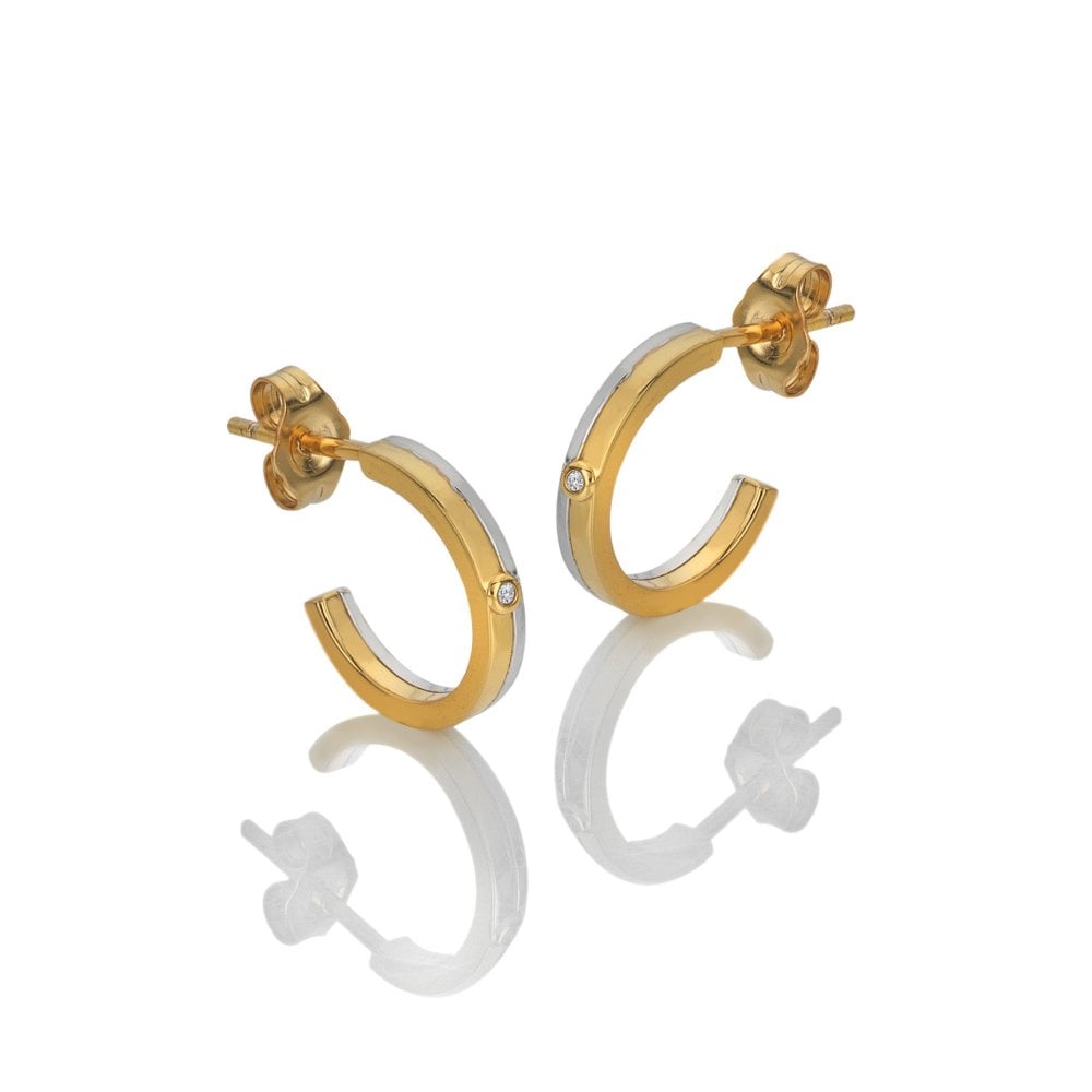 Parellel Two Tone Earrings