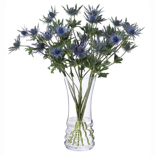Wibble Bunch Vase