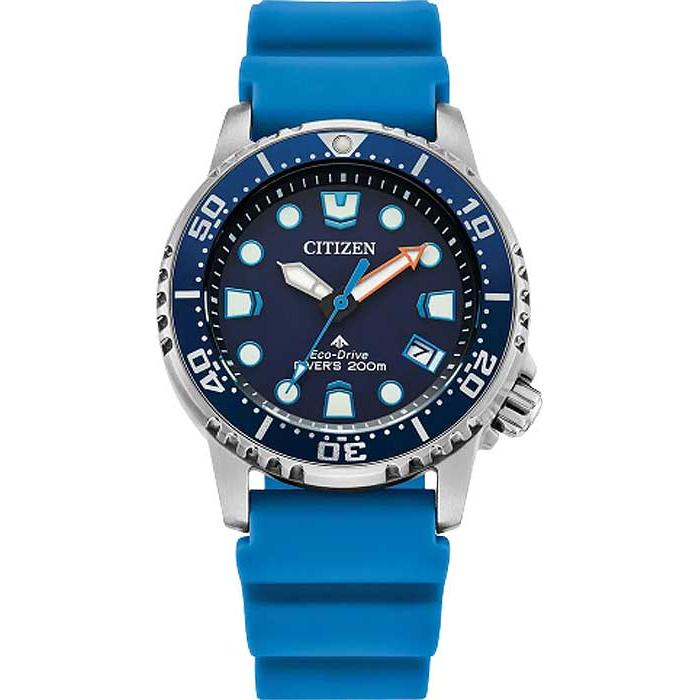 Promaster Diver Watch