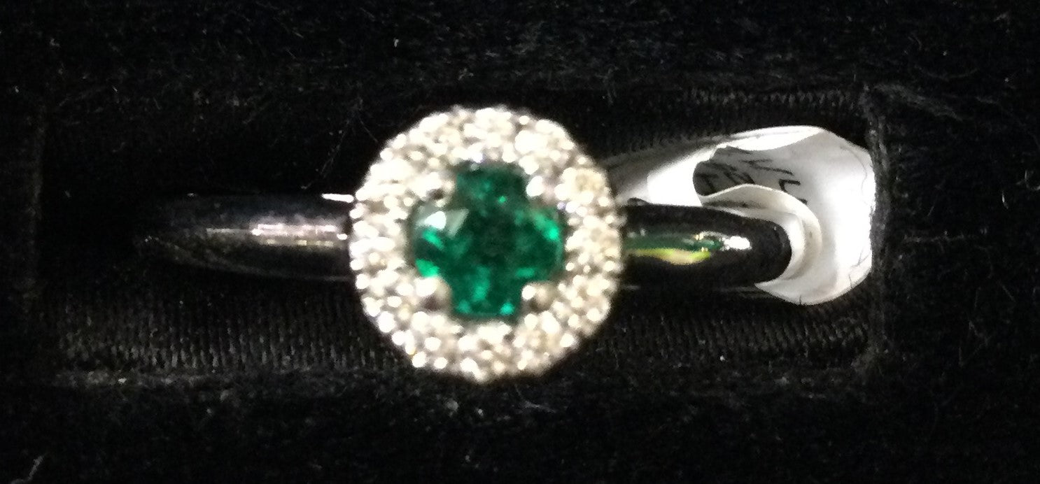 18ct White Gold Rndem/12dia