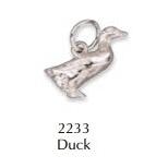 Silver Duck