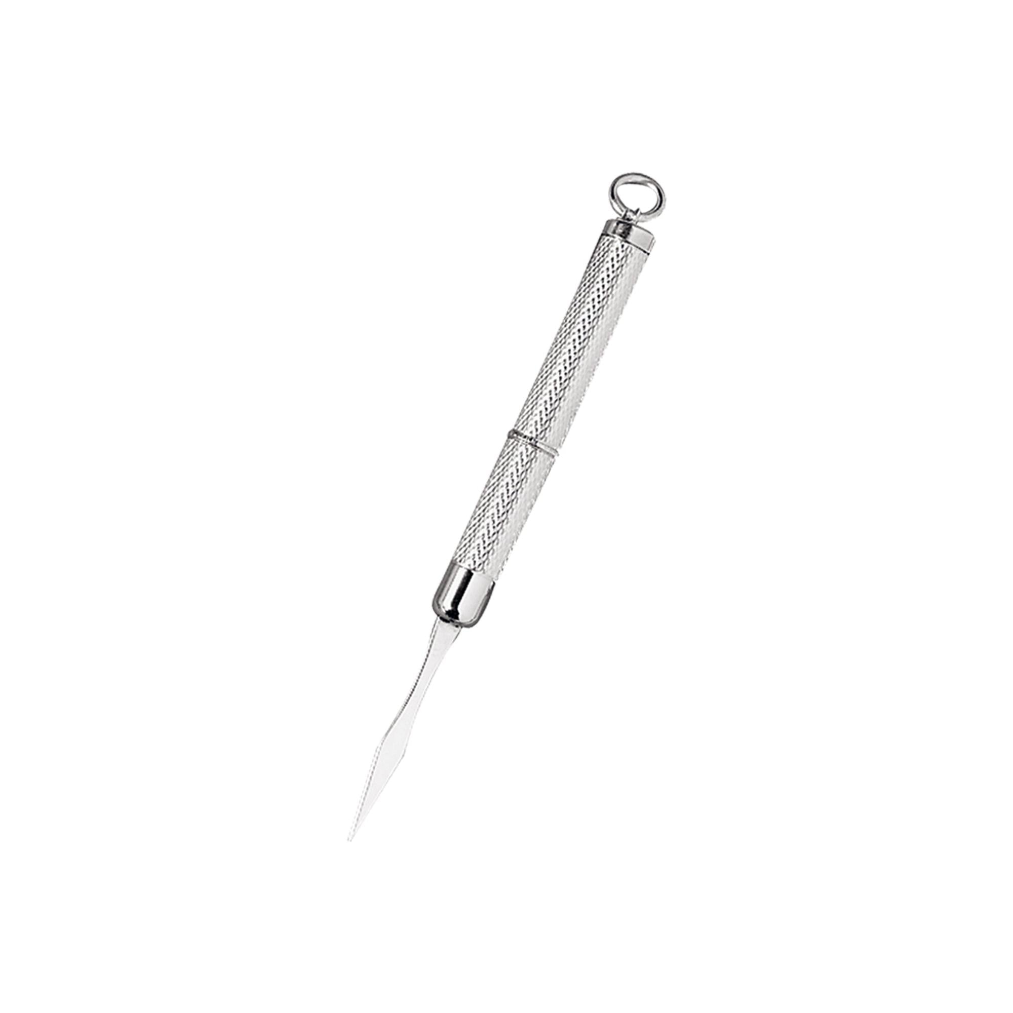 Toothpick with Silver Blade