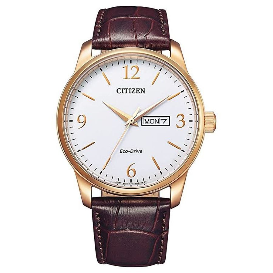 Citizen-Eco-Drive Men's Strap-Dipples Jewellers