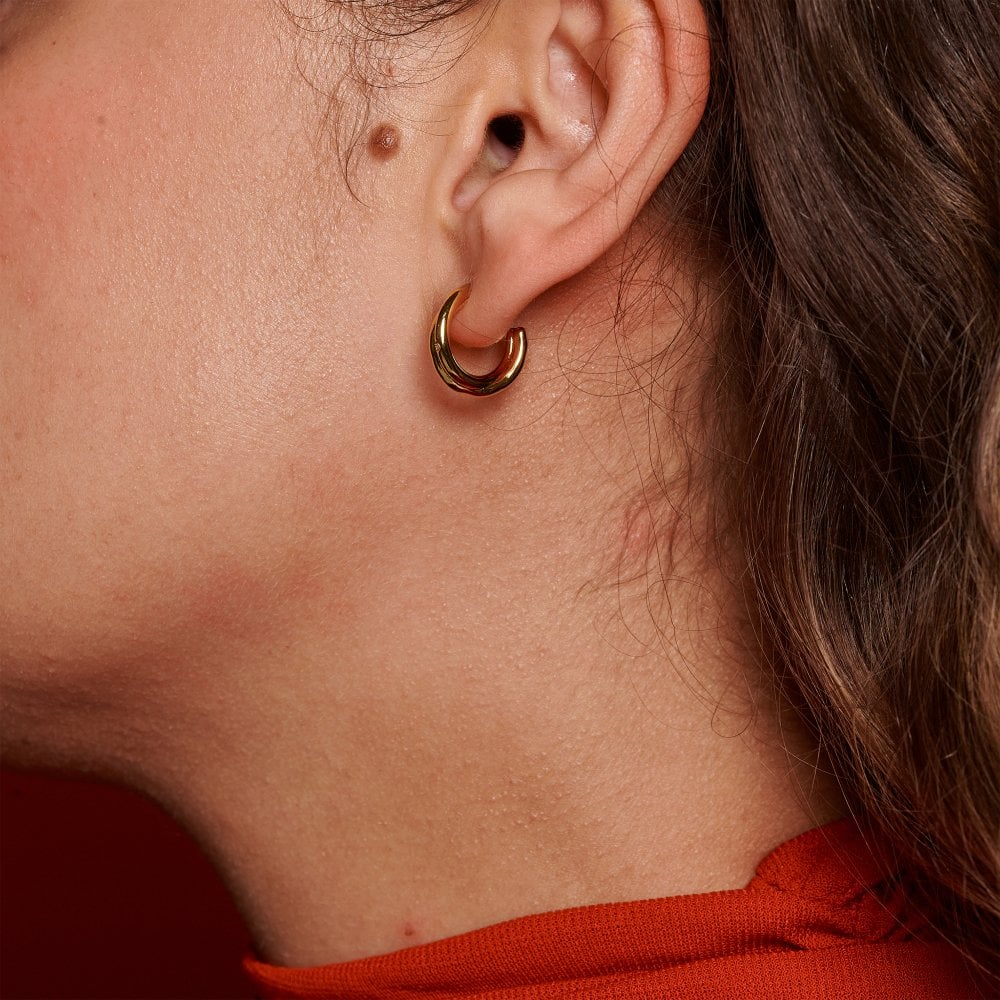 Hot Diamonds-Aura Earrings-Dipples Jewellers